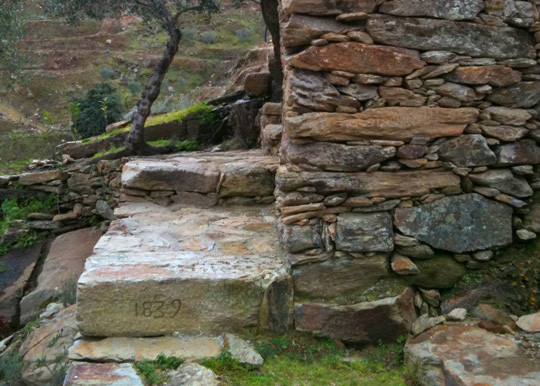Quinta do Javali
