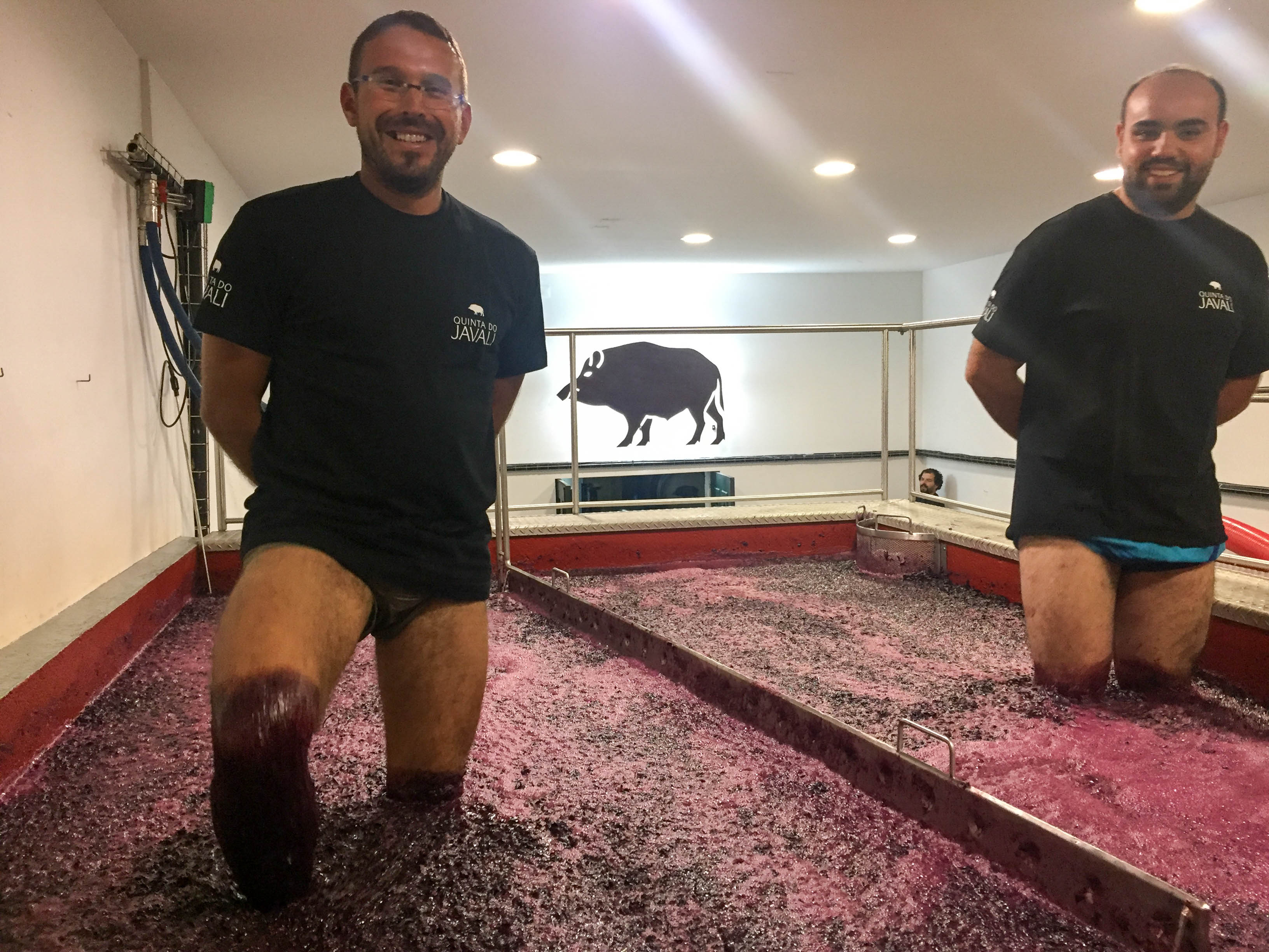 Quinta do Javali