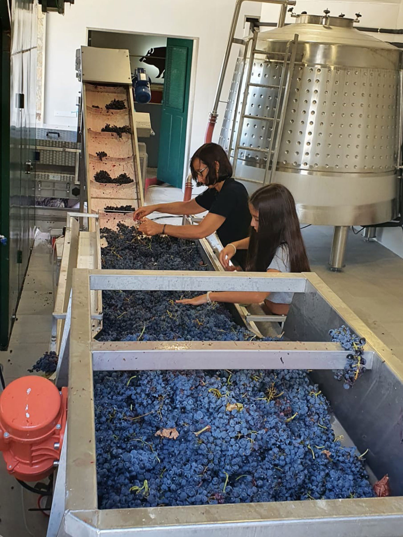 Quinta do Javali
